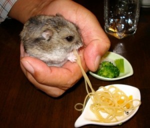 2015y07m06d_004930111