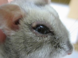 2015y07m01d_024119157